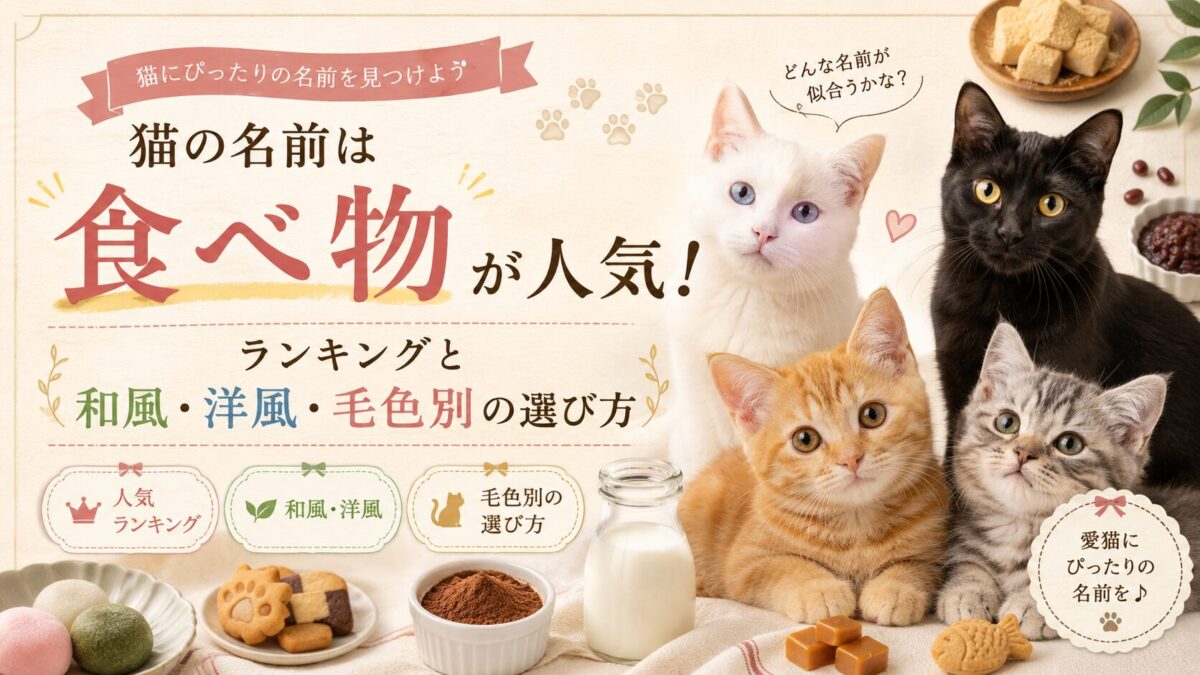 猫の名前は食べ物が人気!ランキングと和風・洋風・毛色別の選び方