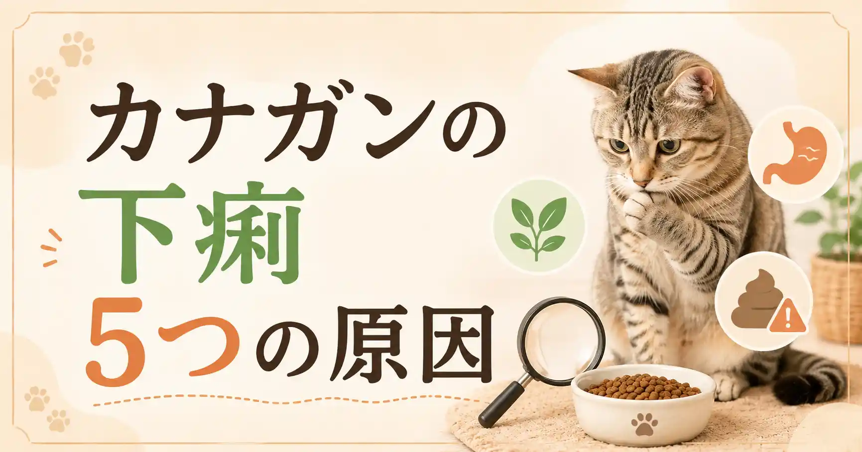 カナガンで下痢が出るのはなぜ？考えられる5つの原因