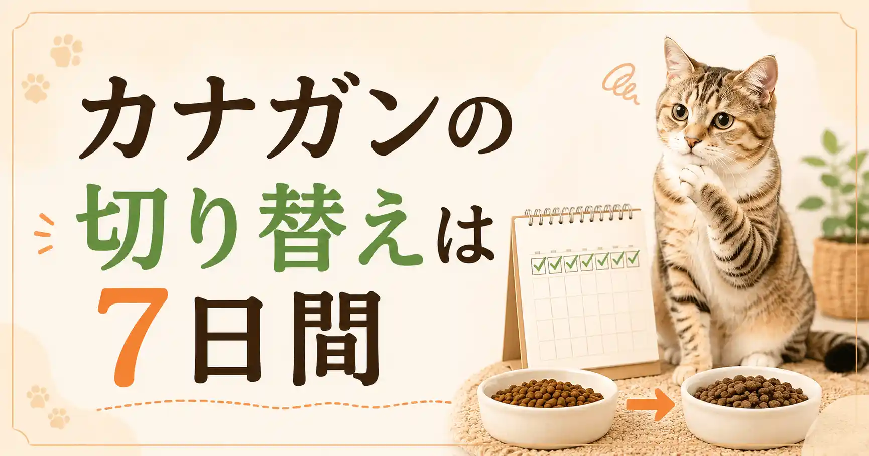カナガンの切り替えは7日間！下痢が心配なときは日数を延ばす