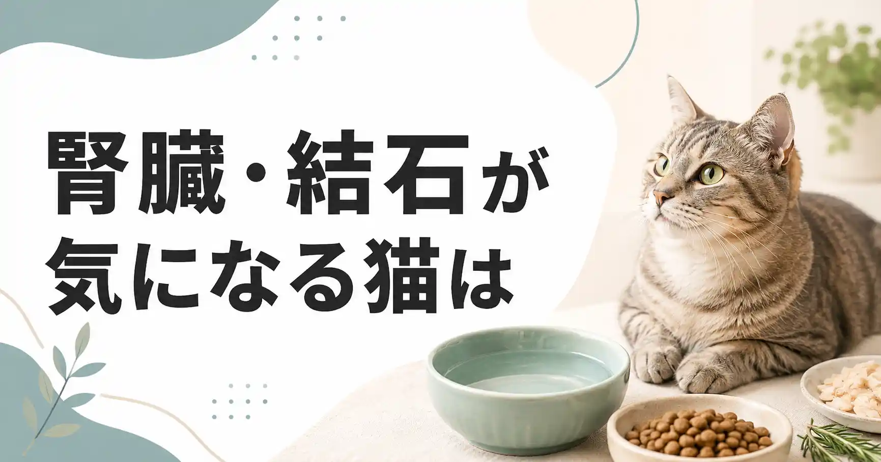 腎臓や結石が気になる猫はグランツキャットフードを食べていい?