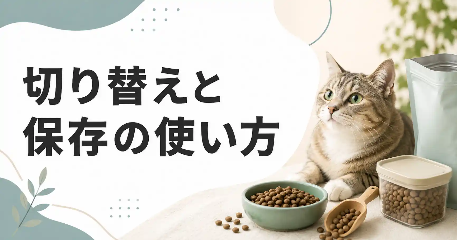 グランツキャットフードの安全性を保つ使い方:切り替えと保存