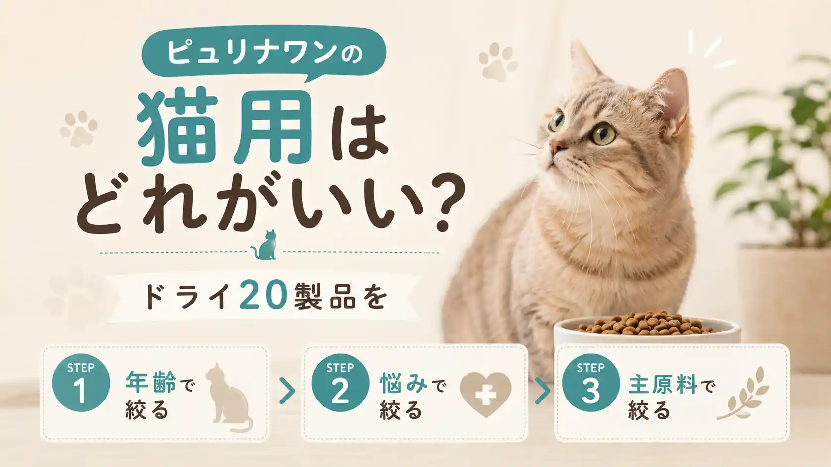 ピュリナワンの猫用はどれがいい？ドライ20製品を年齢・悩み・主原料の3ステップで絞る
