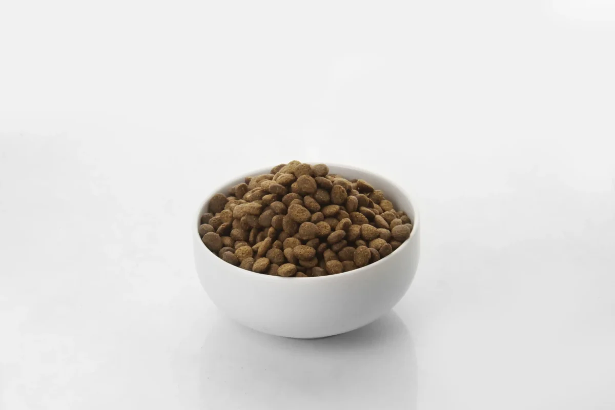 カナガンデンタルキャットフードの粒を白い器に入れて撮影した様子