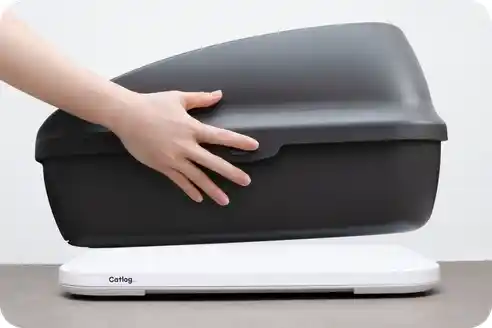 Catlog Board 2の上に猫用トイレを載せている様子