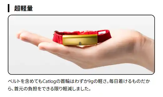 Catlog 2の首輪を手のひらに載せて大きさを比べた様子