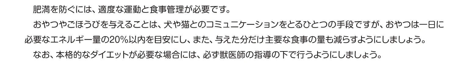 環境省のガイドラインの一文。おやつは一日に必要なエネルギー量の20%以内を目安にし、与えた分だけ主要な食事の量も減らす。本格的なダイエットは獣医師の指導の下で