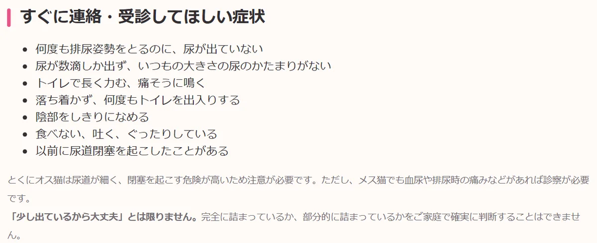 不二動物病院の「すぐに連絡・受診してほしい症状」の欄。何度も排尿姿勢をとるのに尿が出ていない、尿が数滴しか出ずいつもの大きさの尿のかたまりがない、トイレで長く力む・痛そうに鳴くなど。オス猫は尿道が細く閉塞を起こす危険が高い
