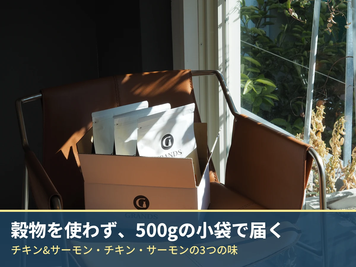 箱に入ったGRANDSの3つの袋。穀物を使わず、500gの小袋で届く。チキン&サーモン・チキン・サーモンの3つの味