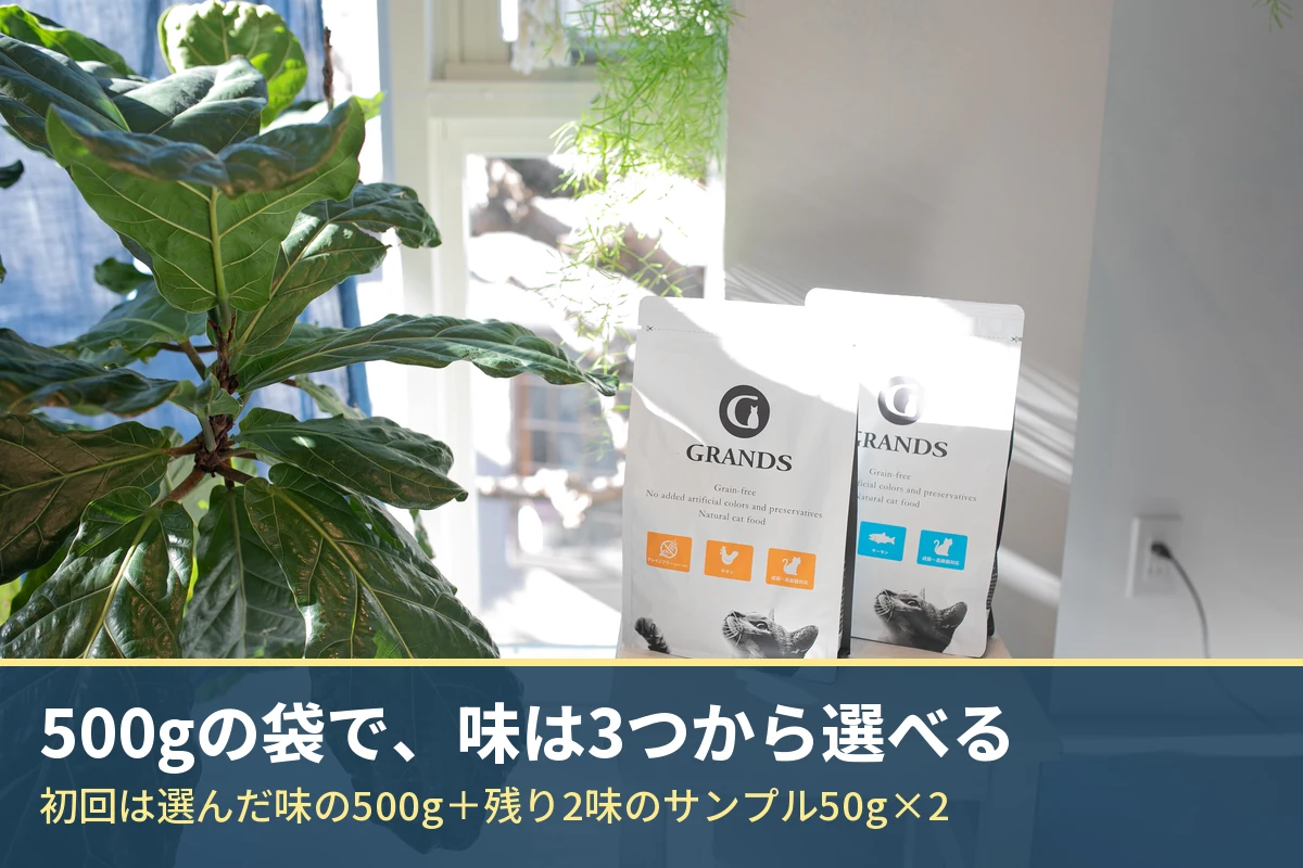GRANDS(グランツ)の500gの袋が2つ並んだ写真。500gの袋で味は3つから選べて、初回は選んだ味の500gと残り2味のサンプル50g×2