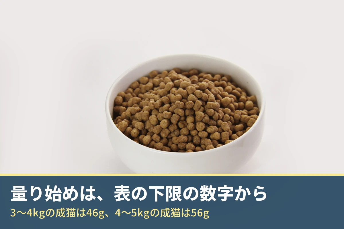 白い器に盛ったモグニャンキャットフードの粒。帯に「量り始めは、表の下限の数字から」「3〜4kgの成猫は46g、4〜5kgの成猫は56g」