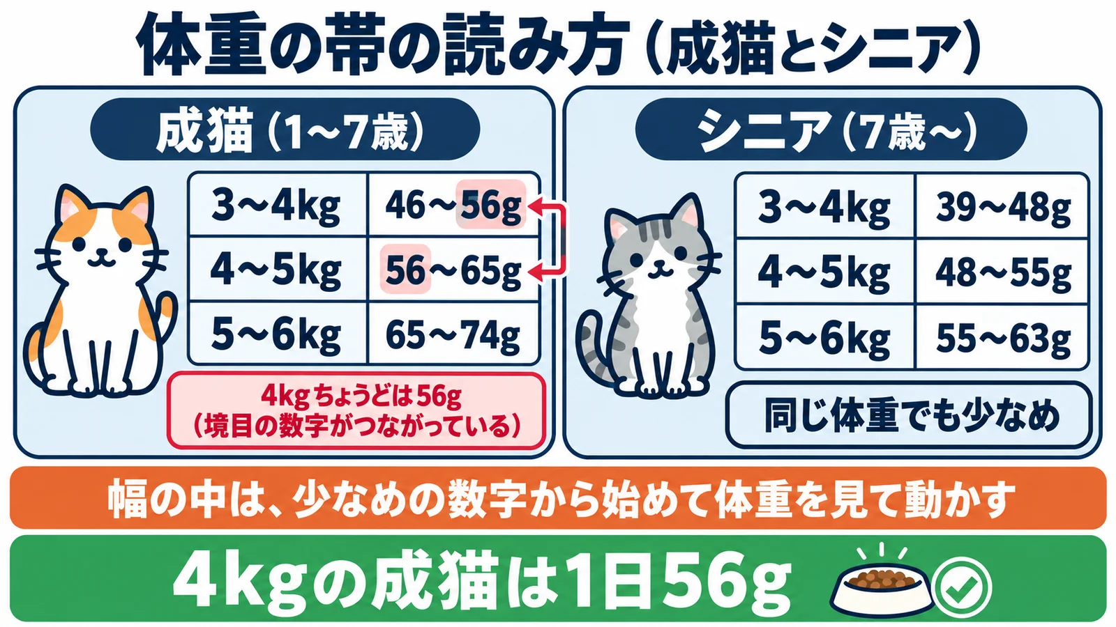 体重の帯の読み方の図。成猫（1〜7歳）は3〜4kgで46〜56g・4〜5kgで56〜65g・5〜6kgで65〜74g、4kgちょうどは56gで境目の数字がつながっている。シニア（7歳〜）は3〜4kgで39〜48g・4〜5kgで48〜55g・5〜6kgで55〜63gと同じ体重でも少なめ。幅の中は少なめの数字から始めて体重を見て動かし、4kgの成猫は1日56g