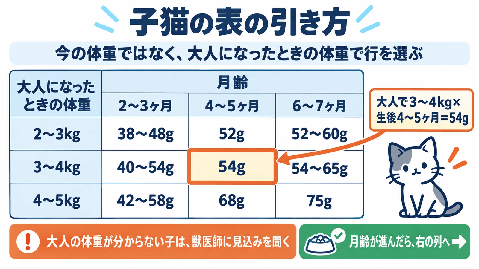 子猫の表の引き方の図。今の体重ではなく大人になったときの体重で行を選ぶ。大人で2〜3kgは2〜3ヶ月38〜48g・4〜5ヶ月52g・6〜7ヶ月52〜60g、3〜4kgは40〜54g・54g・54〜65g、4〜5kgは42〜58g・68g・75g。大人で3〜4kg×生後4〜5ヶ月＝54gを強調。大人の体重が分からない子は獣医師に見込みを聞き、月齢が進んだら右の列へ