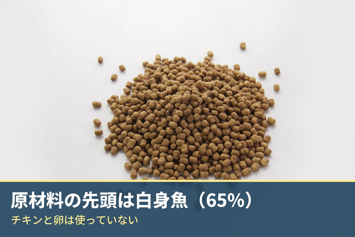 モグニャンキャットフードの粒を広げた写真